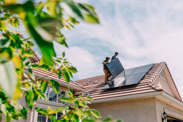 Best Roof Gutter Cleaning  in Brownsville, FL