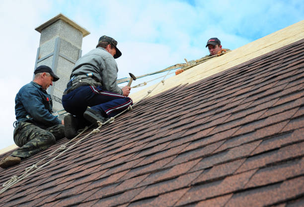 Best Gutter Installation and Roofing  in Brownsville, FL